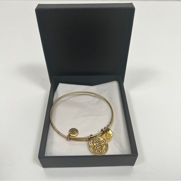 Alex and Ani Aunt Charm Adjustable Bangle Bracelet in Gold Finish Gift Ready - Picture 8 of 9